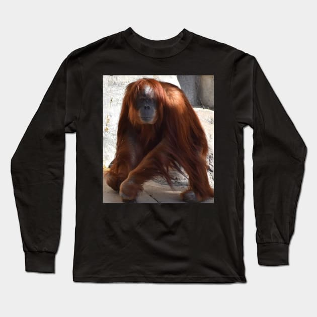 Orangutan Long Sleeve T-Shirt by Sharonzoolady